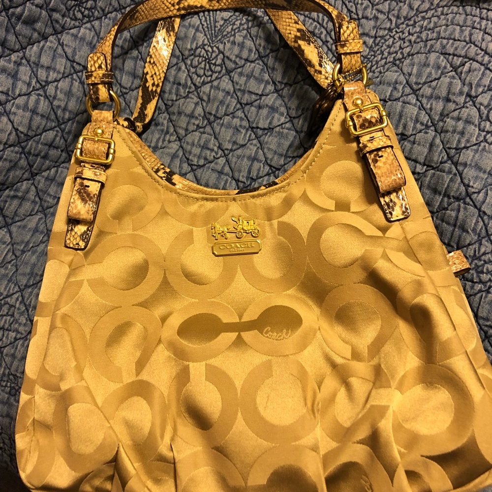 Coach gold with eel skin trim
